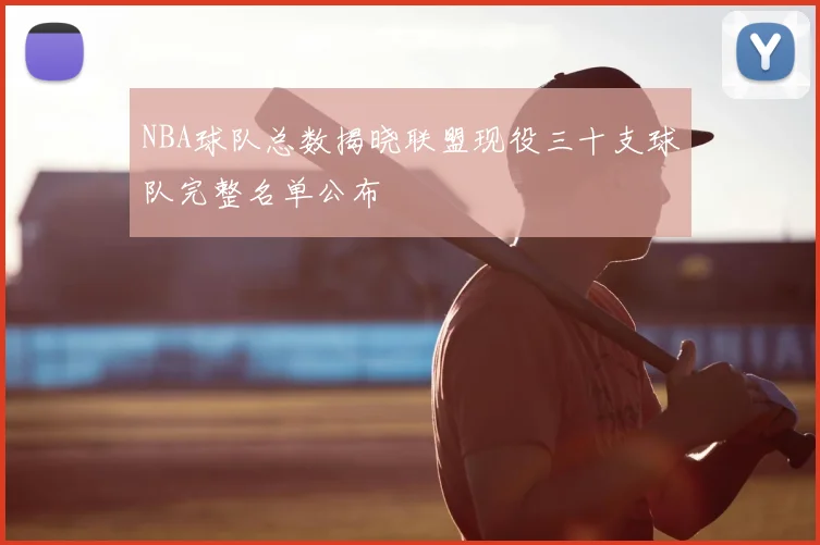 NBA球队总数揭晓联盟现役三十支球队完整名单公布