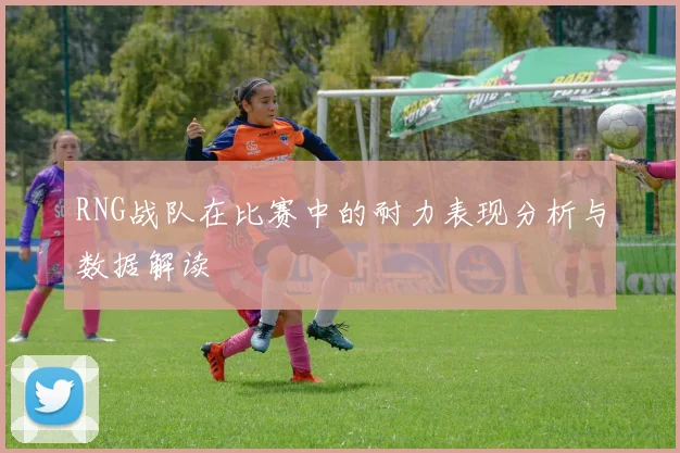 RNG战队在比赛中的耐力表现分析与数据解读