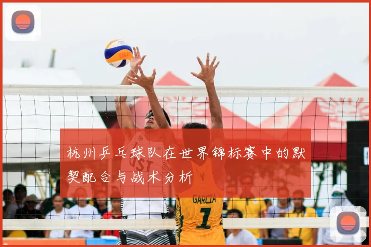 杭州乒乓球队在世界锦标赛中的默契配合与战术分析