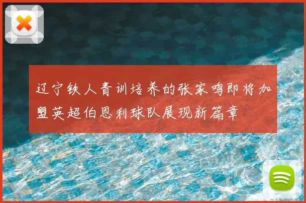 辽宁铁人青训培养的张家鸣即将加盟英超伯恩利球队展现新篇章