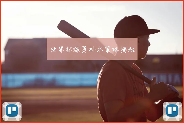 世界杯球员补水策略揭秘
