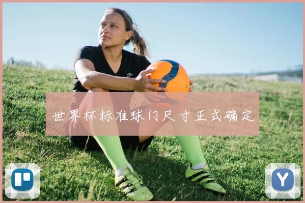 世界杯标准球门尺寸正式确定