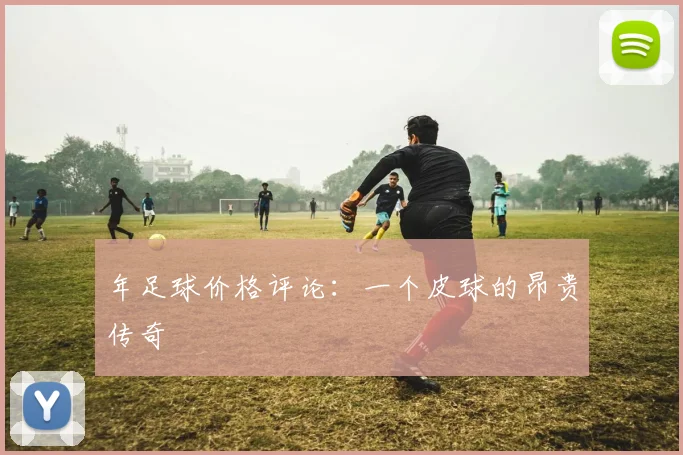 年足球价格评论:一个皮球的昂贵传奇